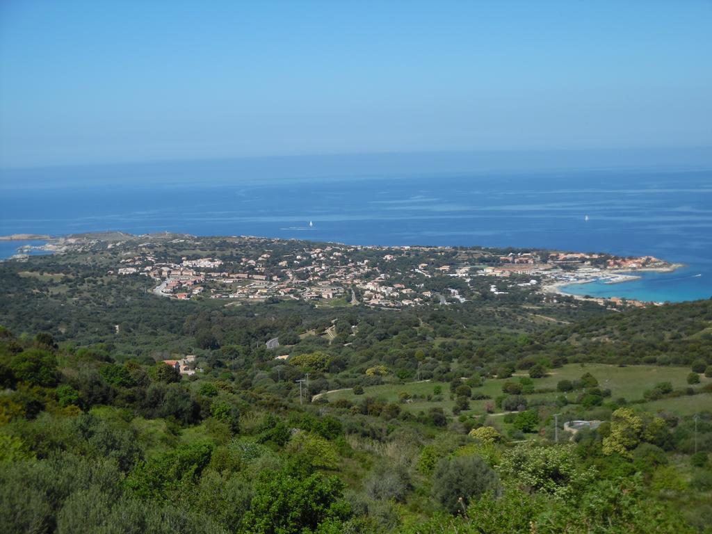 Du Commandant Marche